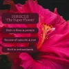 Aduna Radiance Hibiscus Tea with Rosehip & Elderberry 15 bags