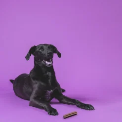 Clean Teeth & Chill 175g