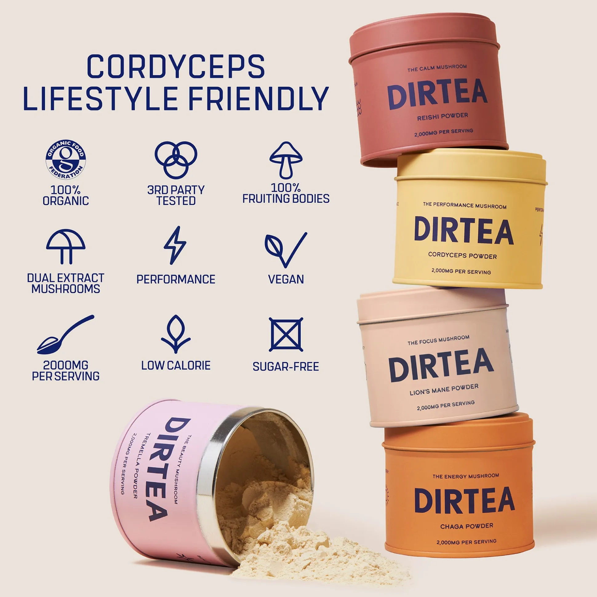 DIRTEA Chaga Mushroom Powder 60g (30 Servings)