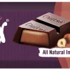 Ombar Hazelnut Truffle Filled Chocolate Bar 42g