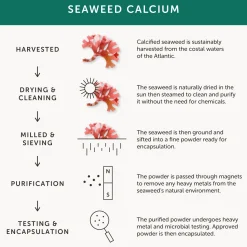 Together Seaweed Calcium 60 caps
