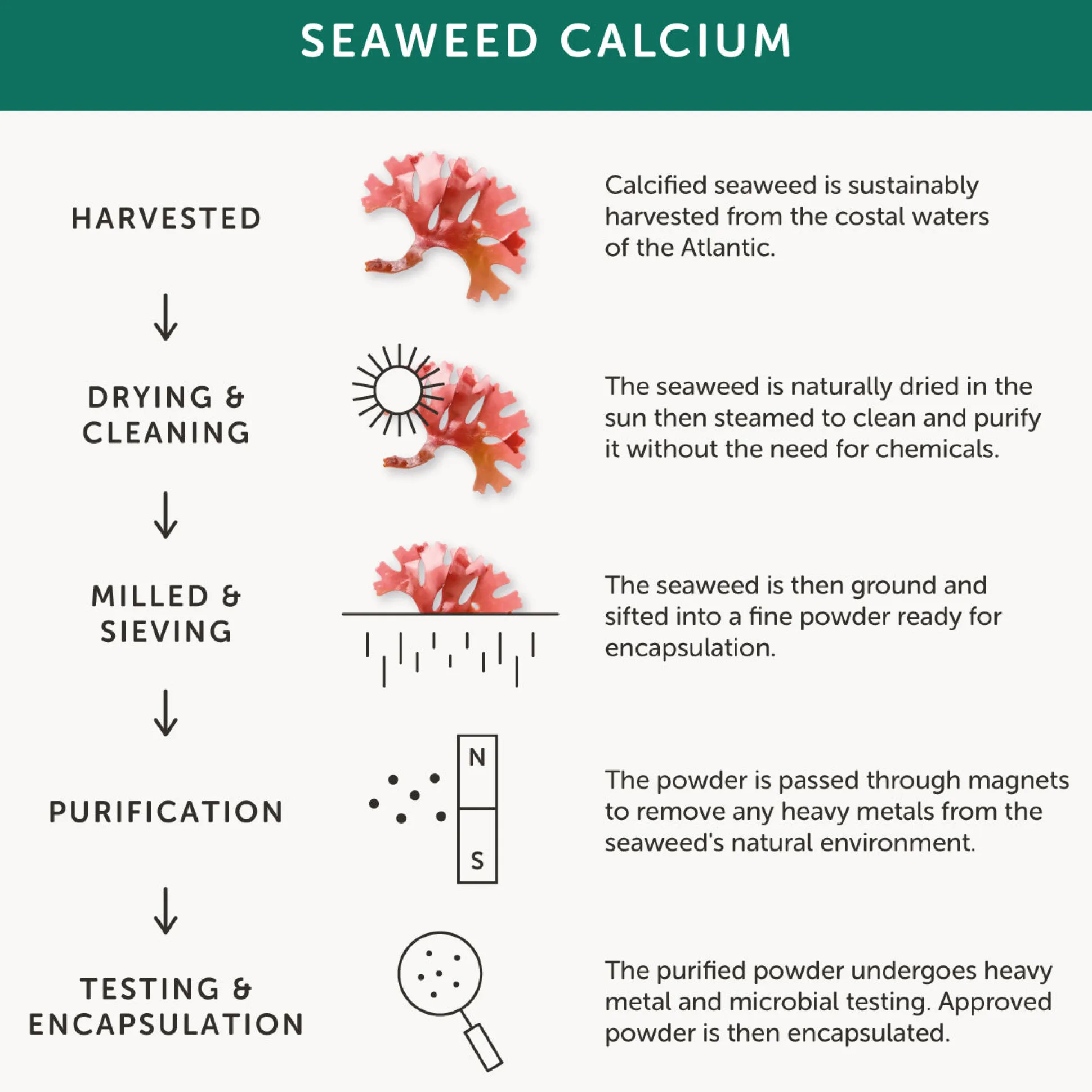 Together Seaweed Calcium 60 caps