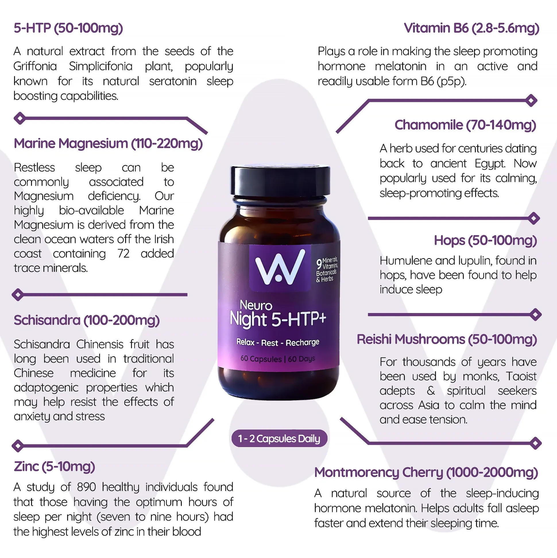 Well. Actually. Neuro Night 5-HTP+ 60 Capsules