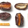 What a Date Orange Peel Singles